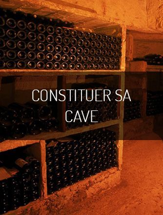 De la place pour 20 - 50 bouteilles »Petite cave à vin ? » Grand choix de  petites caves à vin