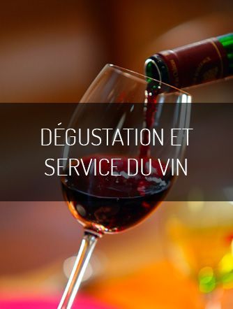 Du rouge au blanc : les verres à vin pour votre dégustation