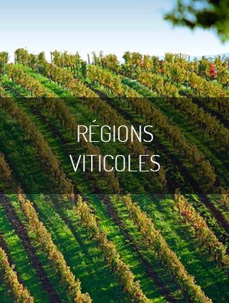 Carte des appellations des vins de France et cépages 