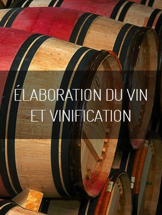 Vente de Vin en Ligne, Rouge, Blanc, Rosé, Grand Cru, AOC - Viniphile